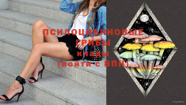 твердый Няндома